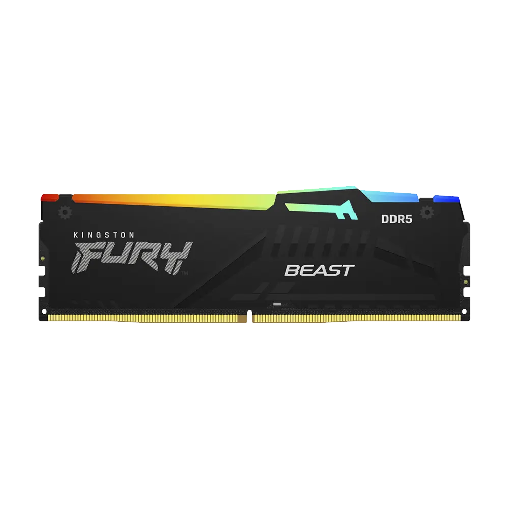 Kingston FURY Beast RGB DDR5 5600MHz