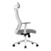 Silla Ejecutiva Acteck Floe Pro EC737 Respaldo de Malla Reposabrazos Blanco